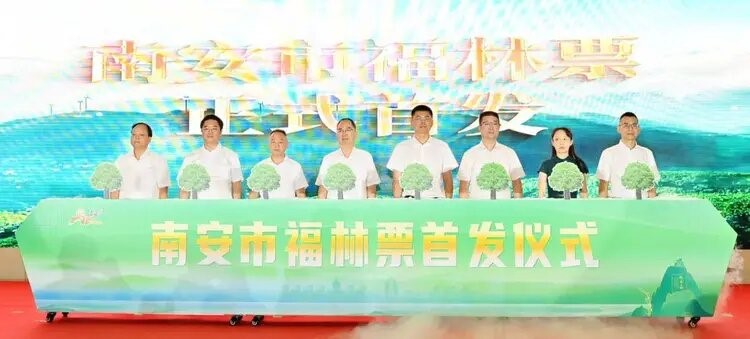 山海協作開啟千萬級林業(yè)融資新模式——福建金森林業(yè)股份有限公司2000畝杉木基地入股福林票