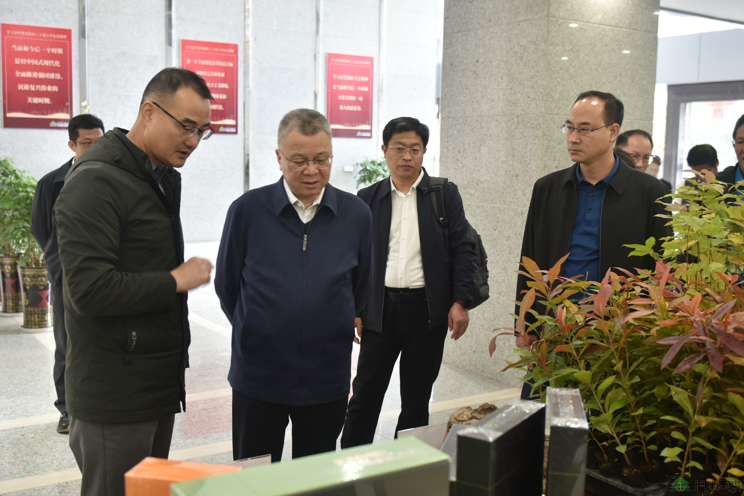 南京林業(yè)大學至福建金森調(diào)研 南京林業(yè)大學至福建金森調(diào)研