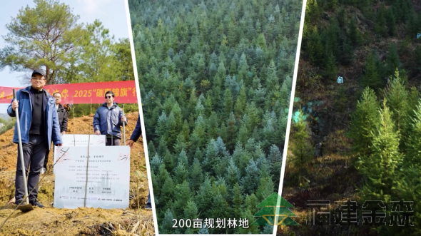 全國首個!!!“滬明杏林”醫(yī)療碳匯林項目成功啟動 福建金森攜手多方共推醫(yī)療與生態(tài)融合發(fā)展新范式 全國首個!!!“滬明杏林”醫(yī)療碳匯林項目成功啟動 福建金森攜手多方共推醫(yī)療與生態(tài)融合發(fā)展新范式